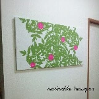 mutuakkun