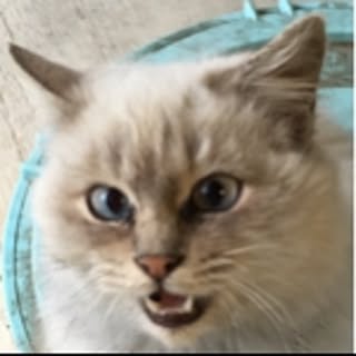 me_home57