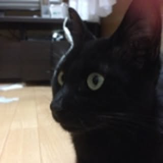 midoro