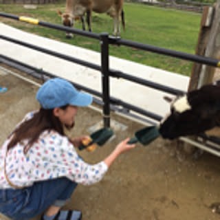 yukie_r_y