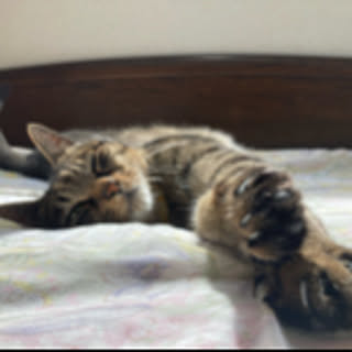 kuru