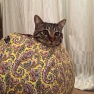 hiromini_s