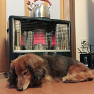mosuko