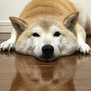rosehiro