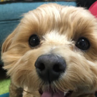 ma