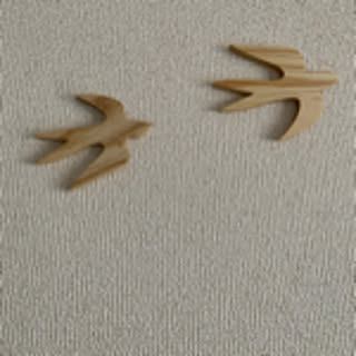 ayaco