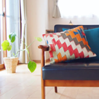 anzco_home