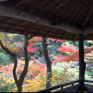 bokusyou