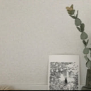 n_n.t
