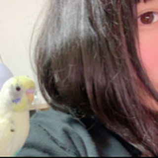 totori