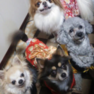 yukimidaifuku4