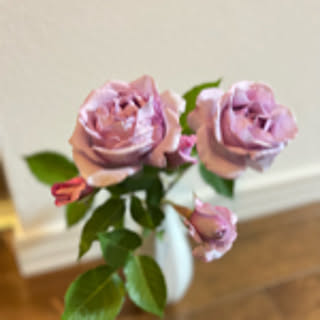 happyma