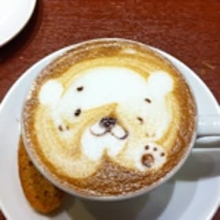 kotatu