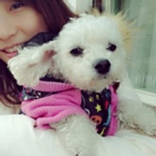 lulu