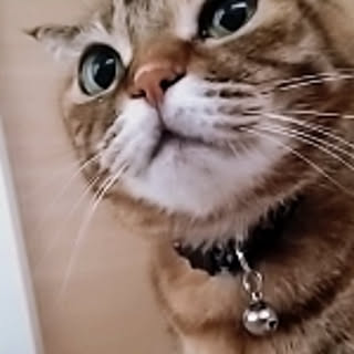 Y.G