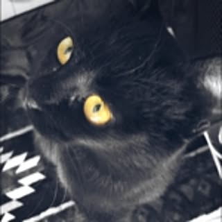 nez