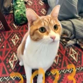 tama