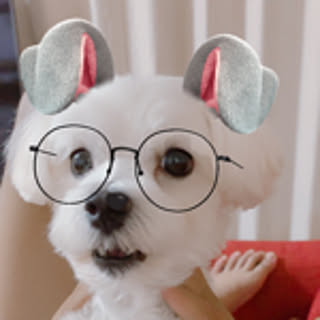 kantahibiki