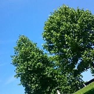 largo