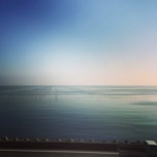sakanakun