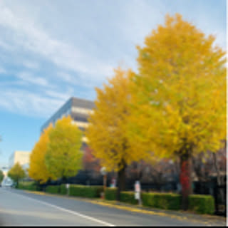 ON