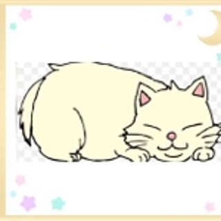 maru_neko_CoCoA