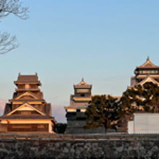 ikukon0ikuji