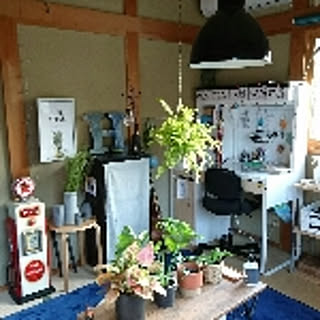 tomo0813