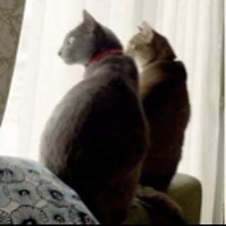 kiki