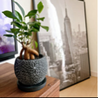 Nao56room