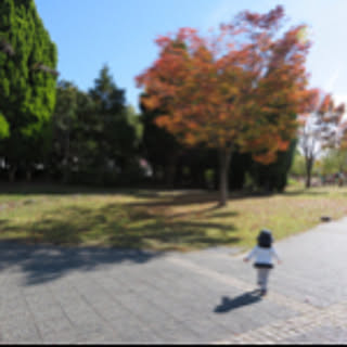 ayu-nyan