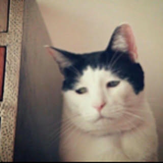juka