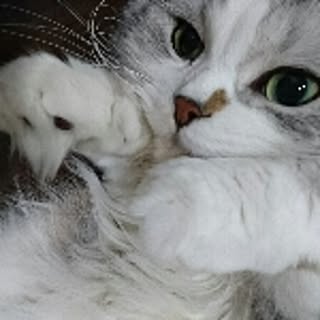 akiiii