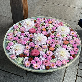 HANA