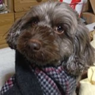 Yuka