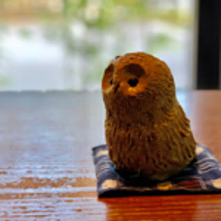 konasu