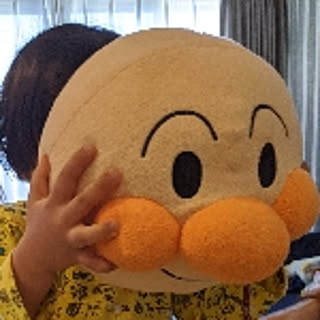 3108na