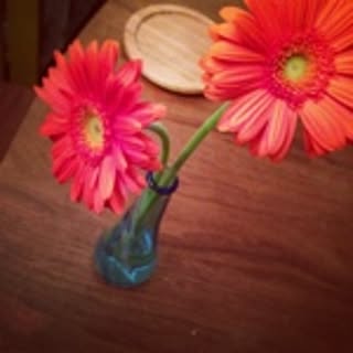 joy_joy