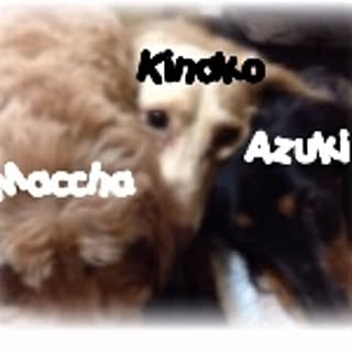 yo-ko