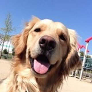 MegCo