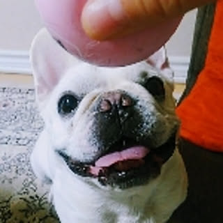 o-sam