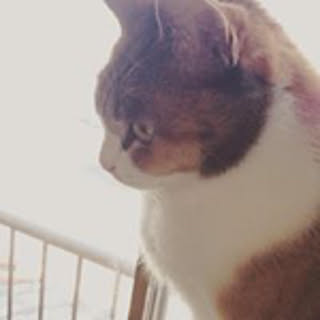 Natsuko