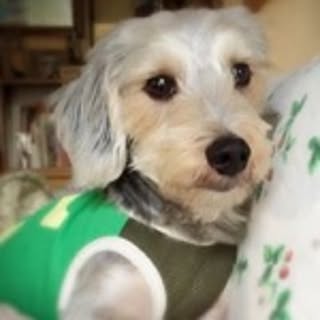 Miho