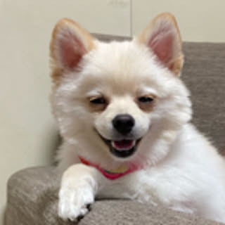 MAYUCHA