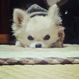 yoo