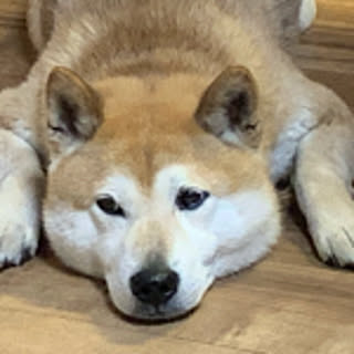 Asa
