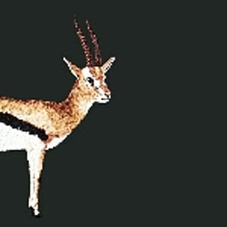 abikyoukan615