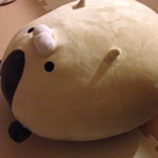 IRI