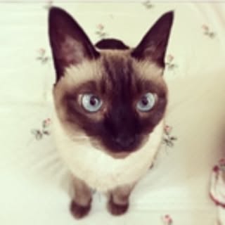 mimi