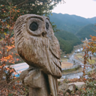mikwi.0807